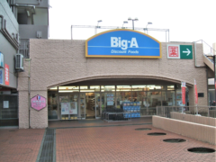 BIG-A（横浜平戸店）（約280ｍ）徒歩4分
